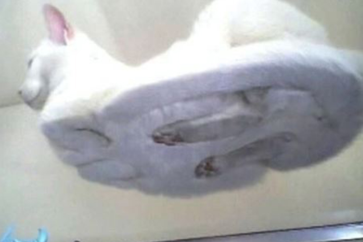 로우앵글로 본 식빵