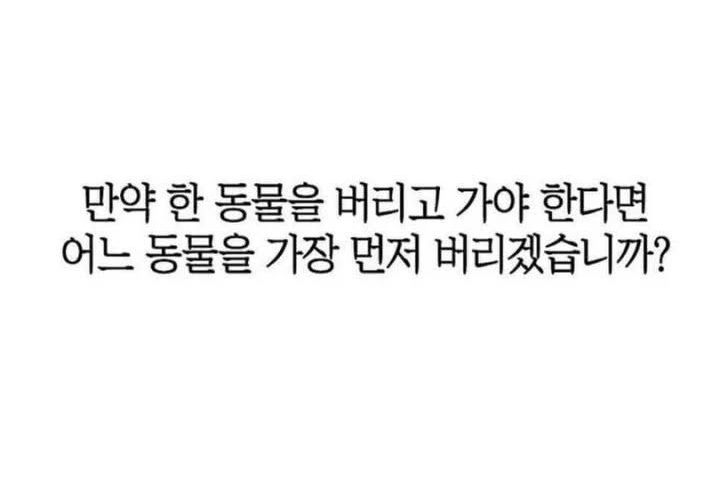 꽤나 정확한 심리테스트