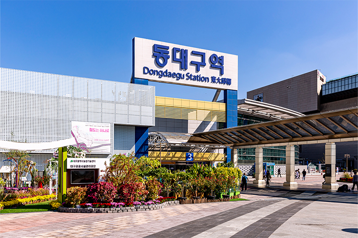 헐 대박! 이 브랜드들 다 대구 출신?!