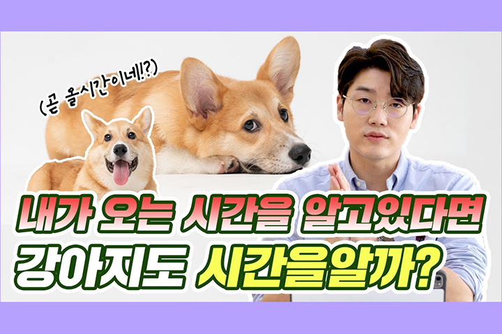 냄새로 집사 퇴근시간 파악한다는 강아지들, 사실일까?