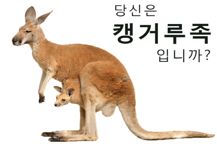 요즘 2030 '신종 효자'